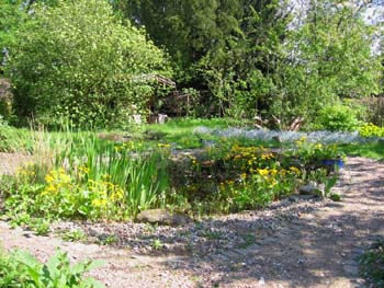 Lory Naturgarten Galerie Verwilderter Garten wird Naturgarten